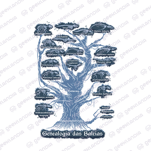 Estampa DTF Têxtil Genealogia das Baleias