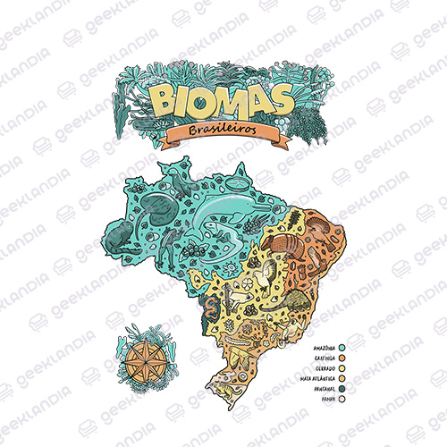 Estampa DTF Têxtil Mapa dos Biomas