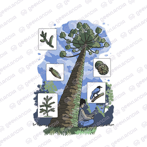Estampa DTF UV Araucaria