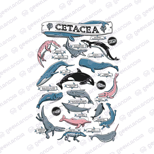 Estampa DTF UV Cetacea