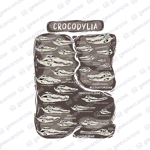 Estampa DTF UV Crocodilos Viventes